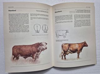 Atlas ilustrado de animales domésticos.