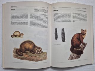 Atlas ilustrado de animales domésticos.