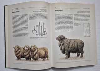 Atlas ilustrado de animales domésticos.