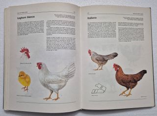 Atlas ilustrado de animales domésticos.