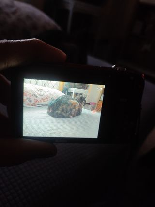 Cámara de fotos Nikon