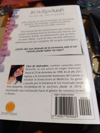 Boulevard (Spanish Edition)