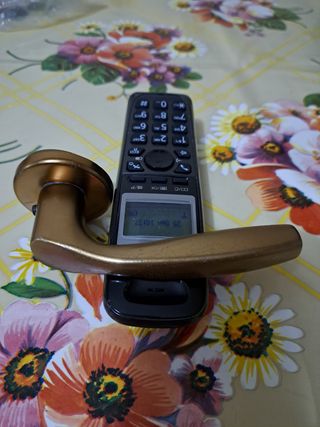 Maniglia interna per porta blindata