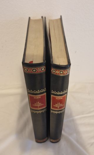 Divina Commedia Inferno - Purgatorio