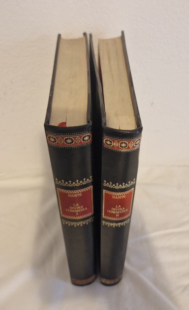 Divina Commedia Inferno - Purgatorio