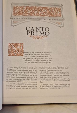 Divina Commedia Inferno - Purgatorio