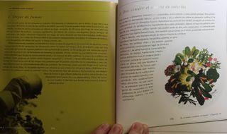 LOS ALIMENTOS CONTRA EL CANCER: LA ALIMENTACION