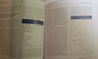 LOS ALIMENTOS CONTRA EL CANCER: LA ALIMENTACION