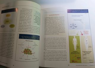 LOS ALIMENTOS CONTRA EL CANCER: LA ALIMENTACION