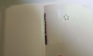 LOS ALIMENTOS CONTRA EL CANCER: LA ALIMENTACION