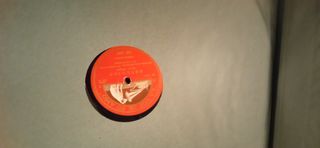 Álbum con 12 discos de pizarra.