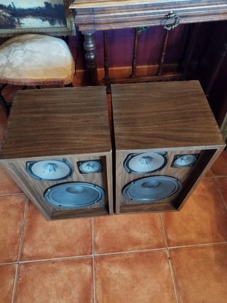 Altavoces Pioneer CS 66G