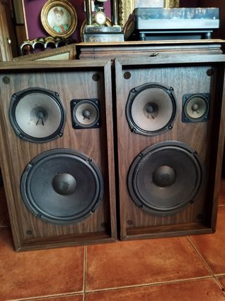 Altavoces Pioneer CS 66G