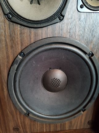Altavoces Pioneer CS 66G