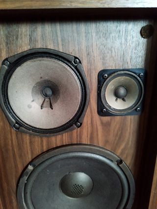 Altavoces Pioneer CS 66G