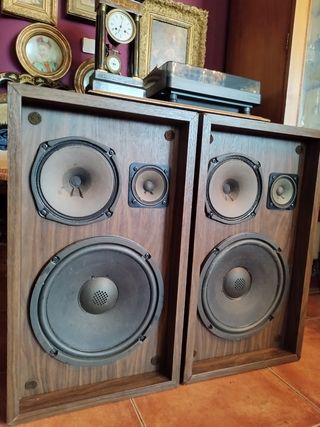 Altavoces Pioneer CS 66G