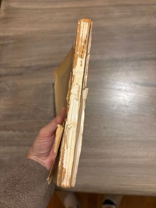 Los meses. España en 1938