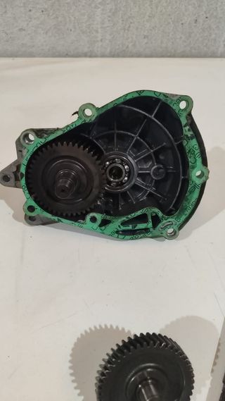 Desarrollos Piaggio 125cc o 200cc 