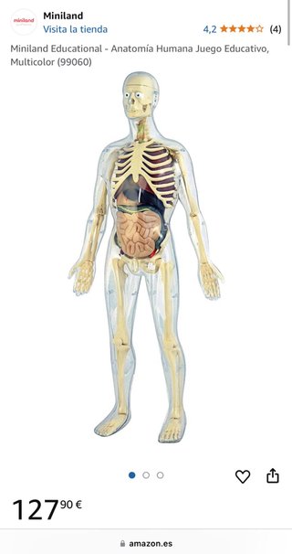 Juego anatomia humana. PRECIO NEGOCIABLE