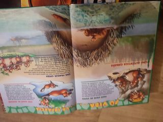 El maravilloso mundo de los animales