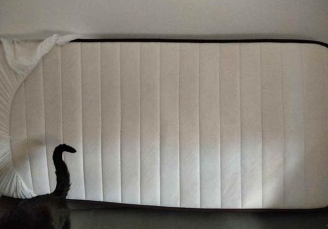 Colchones de 90 centímetros de ancho