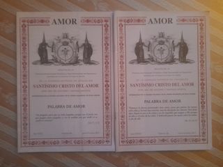 Boletín Amor Sevilla
