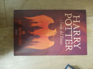 Harry Potter i l'orde del Fènix (rústica)