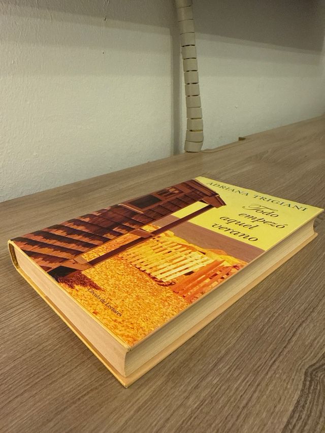 Todo empezó aquel verano