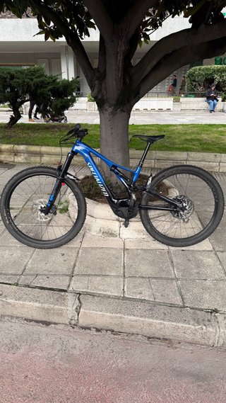 Specialized turbo levo expert carbon