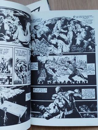 Batman: Black & White, Primera serie completa