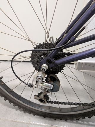 Mtb Pacific