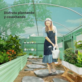 Invernadero de Exterior 6x3x2 m Invernadero