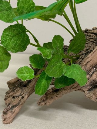 Tronco decoración acuario