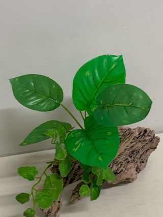 Tronco decoración acuario