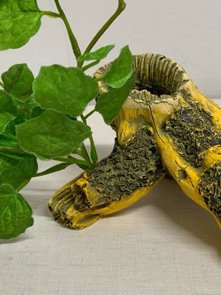 Tronco cueva decoración acuario