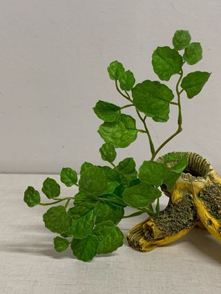 Tronco cueva decoración acuario