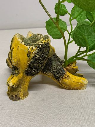 Tronco cueva decoración acuario