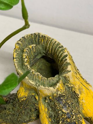 Tronco cueva decoración acuario