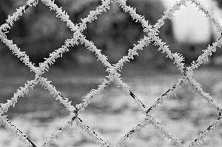 Objetivo rollei plannar 50mm 1.8f