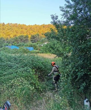 Jardínero económico