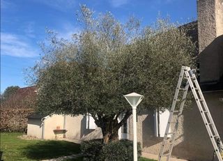 Jardinero serio y responsable