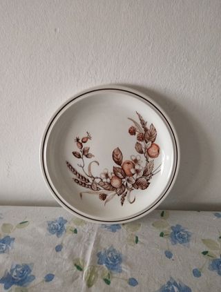 Piatto in porcellana Royal tudor mod Cro