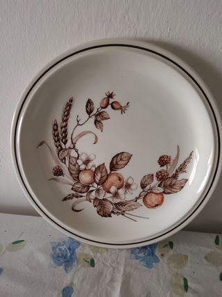 Piatto in porcellana Royal tudor mod Cro