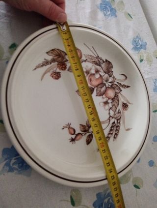 Piatto in porcellana Royal tudor mod Cro