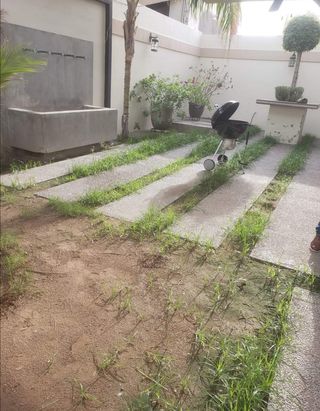 Jardinero económico 