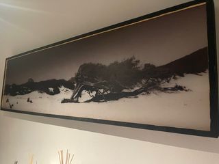 Quadri in legno illuminanti