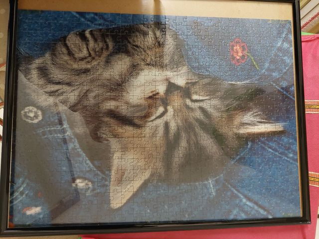 Quadro puzzle gatto