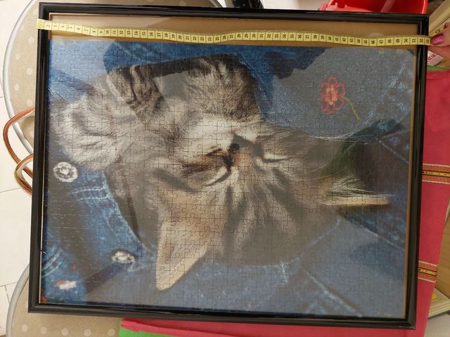 Quadro puzzle gatto