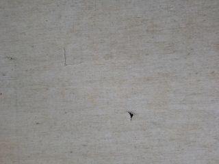 Cuadro motivo paisaje