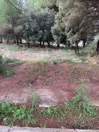 Solar en venta en Seva